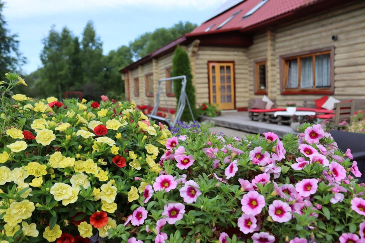 Viesu Nams Zala Sala Hotell Litavniki Exteriör bild