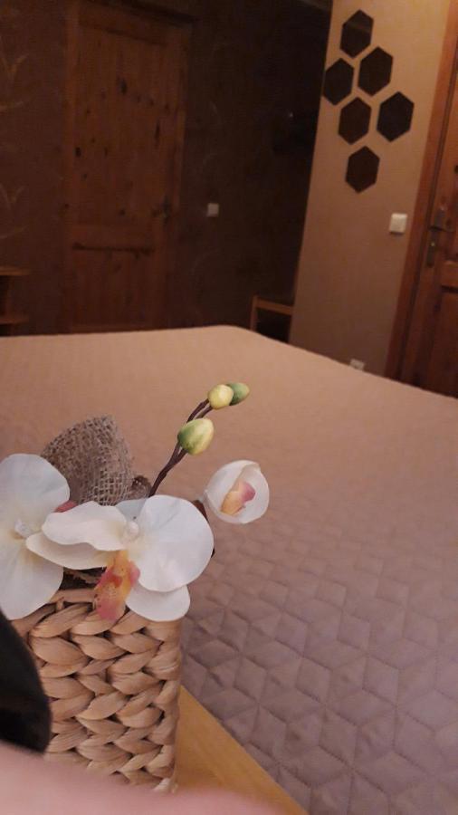 Viesu Nams Zala Sala Hotell Litavniki Exteriör bild